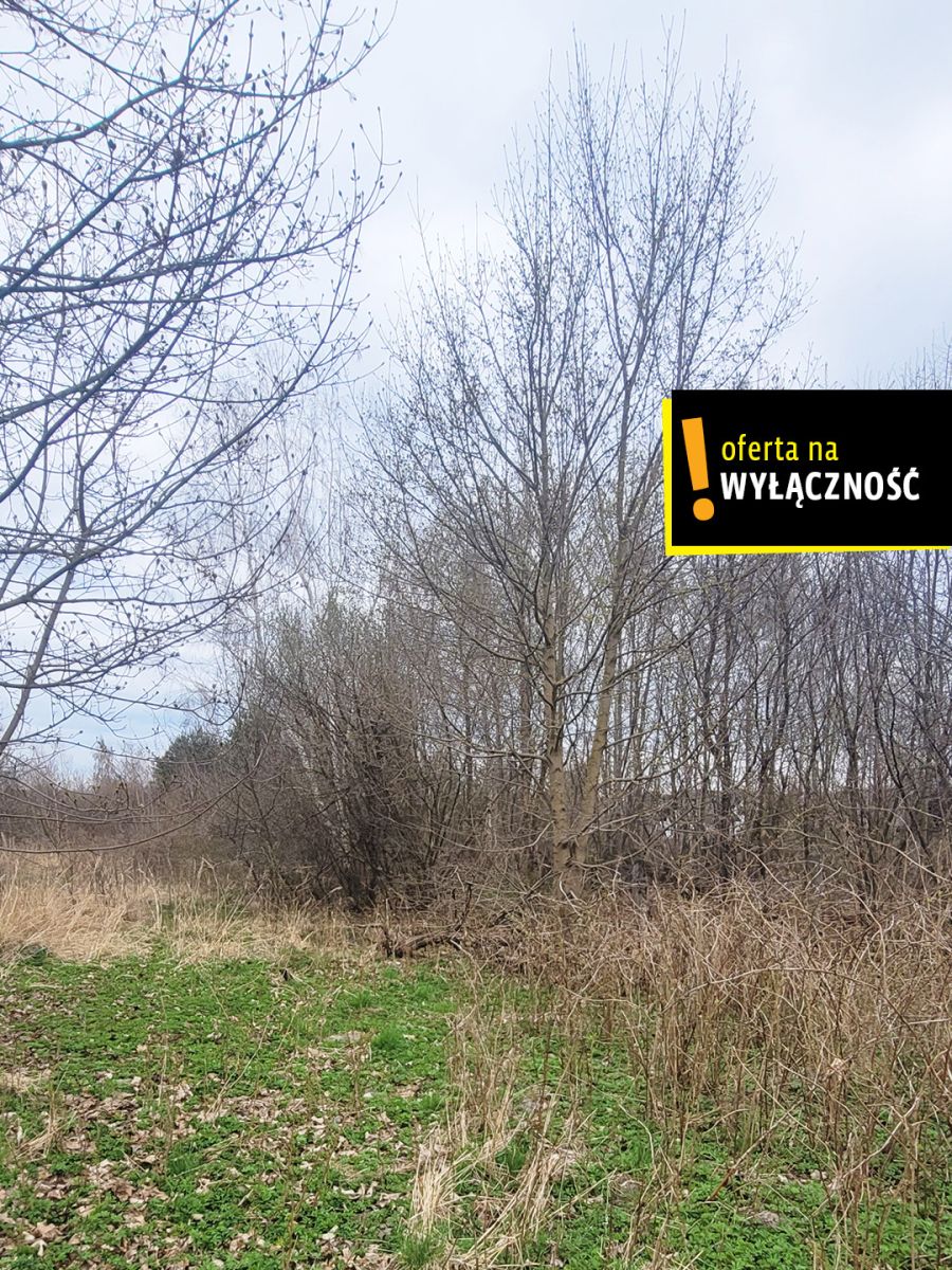 Działka budowlana 7 946 m² – Radlin, gmina Górno