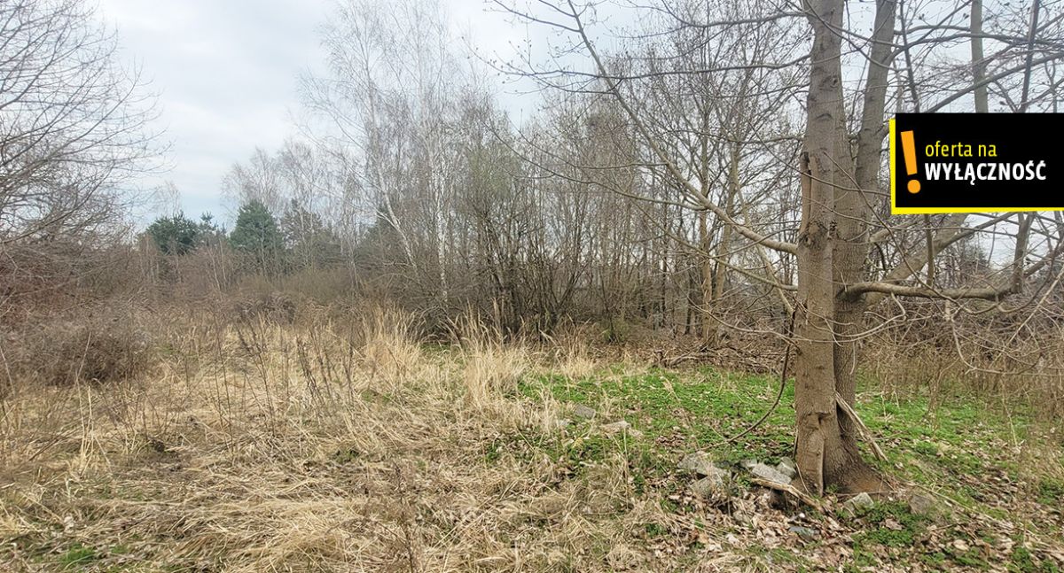 Działka budowlana 7 946 m² – Radlin, gmina Górno
