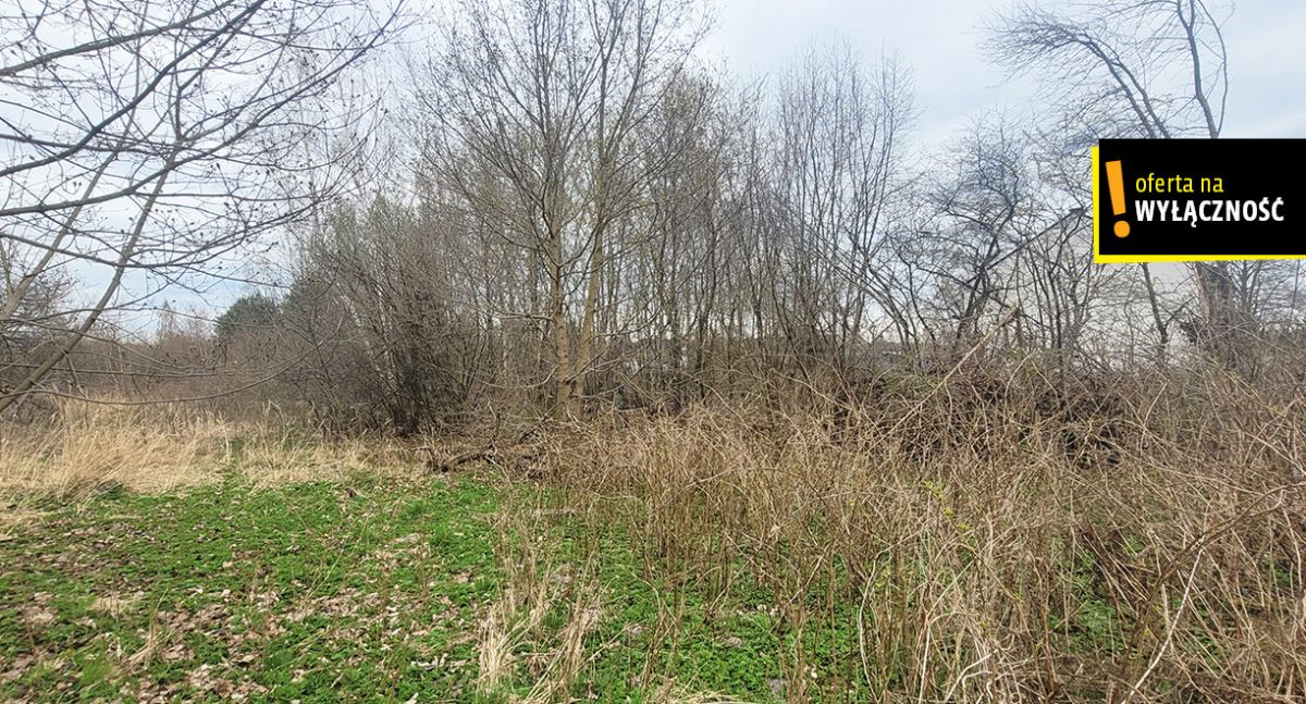 Działka budowlana 7 946 m² – Radlin, gmina Górno