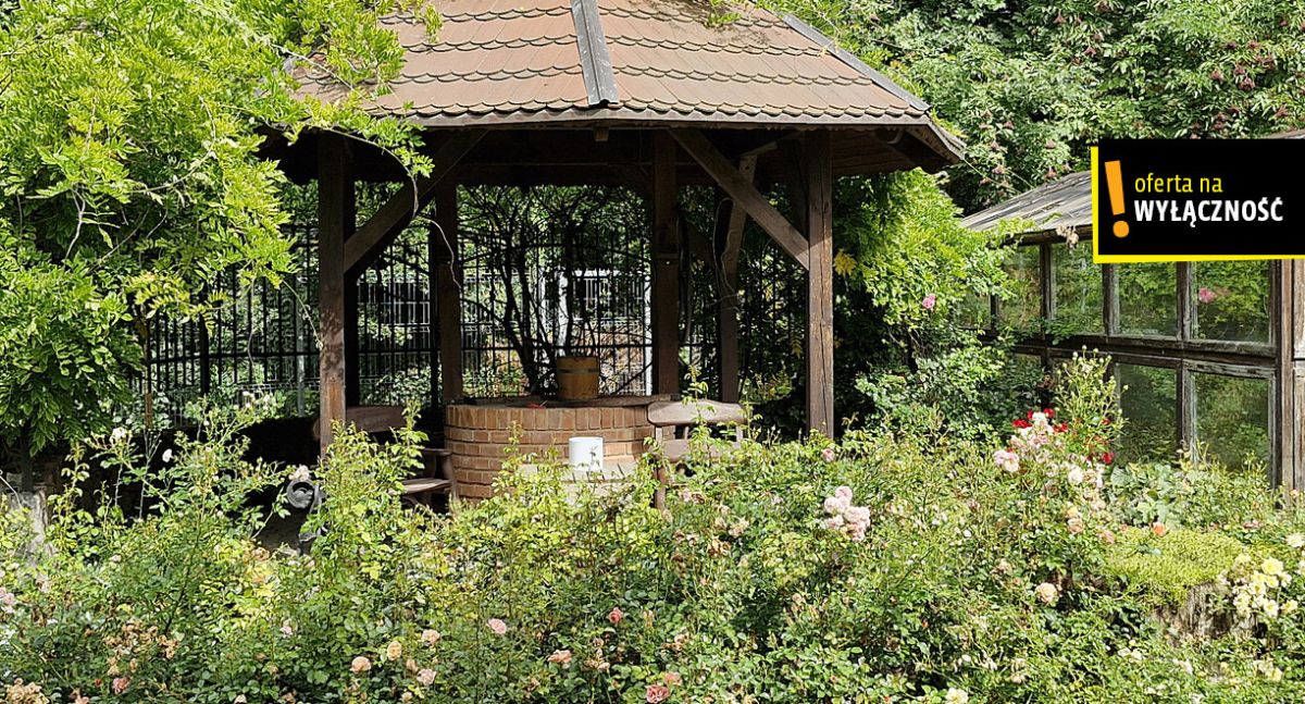 JEDYNY TAKI DOM W ELBLĄGU OTULONY LASEM