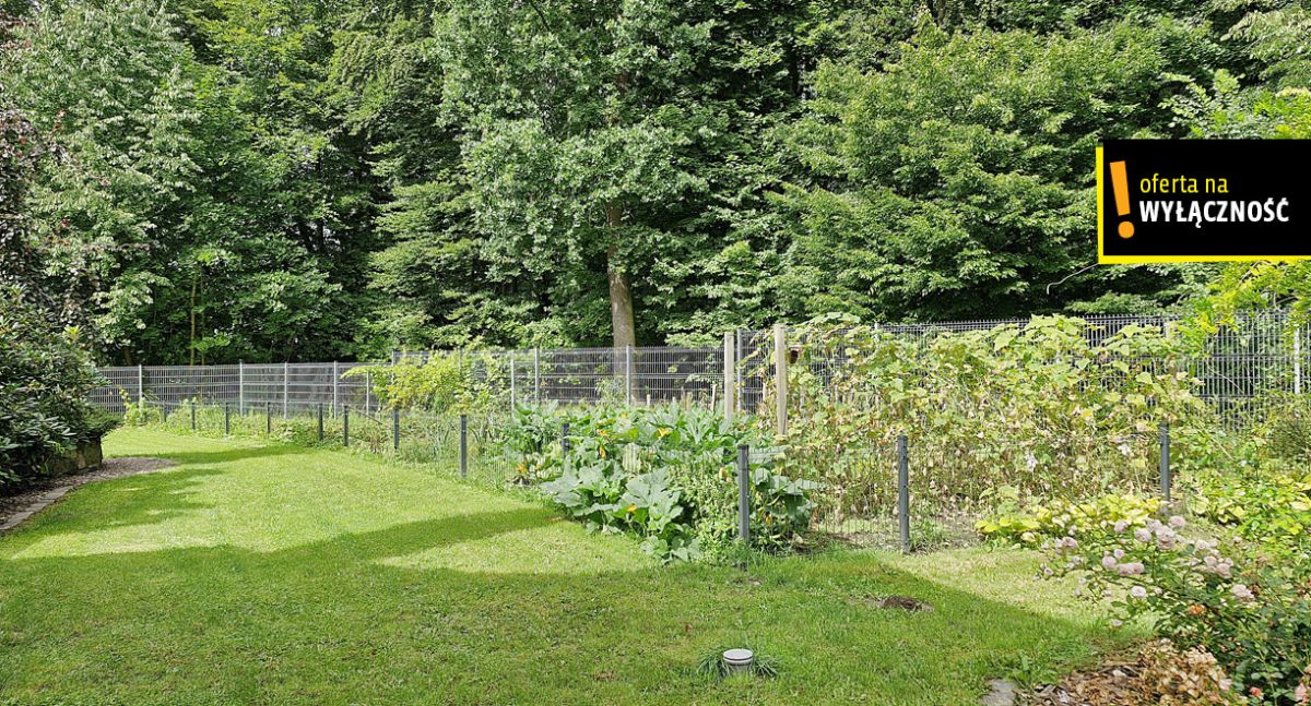 JEDYNY TAKI DOM W ELBLĄGU OTULONY LASEM