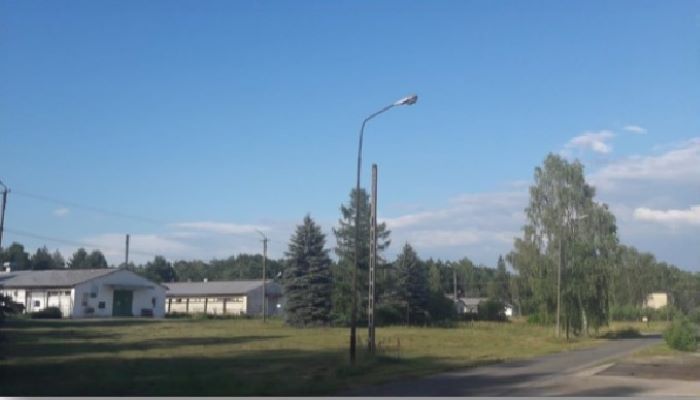 Komercyjny na wynajem