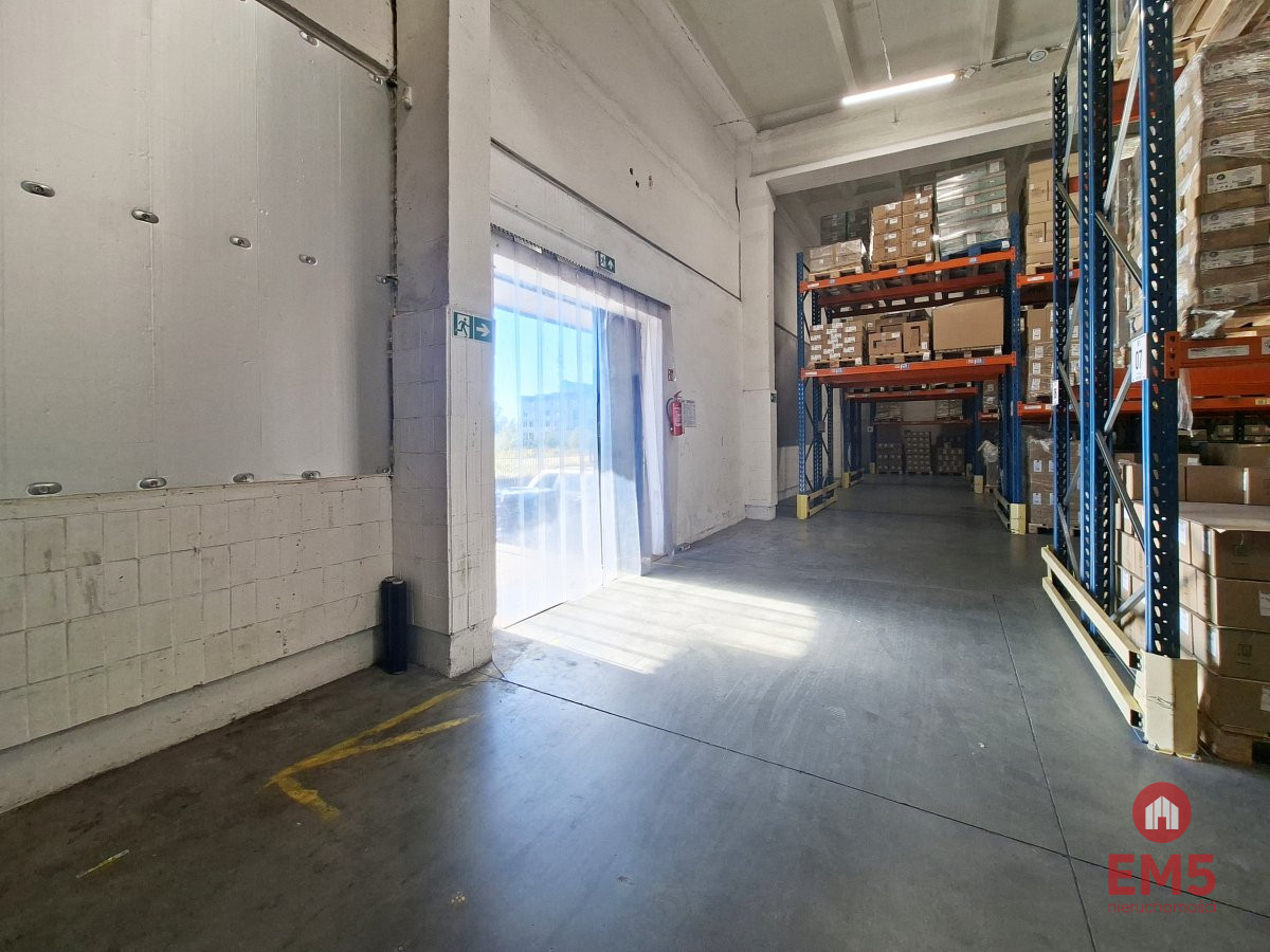Hala – magazyn 4000 m2, zdjęcie 5