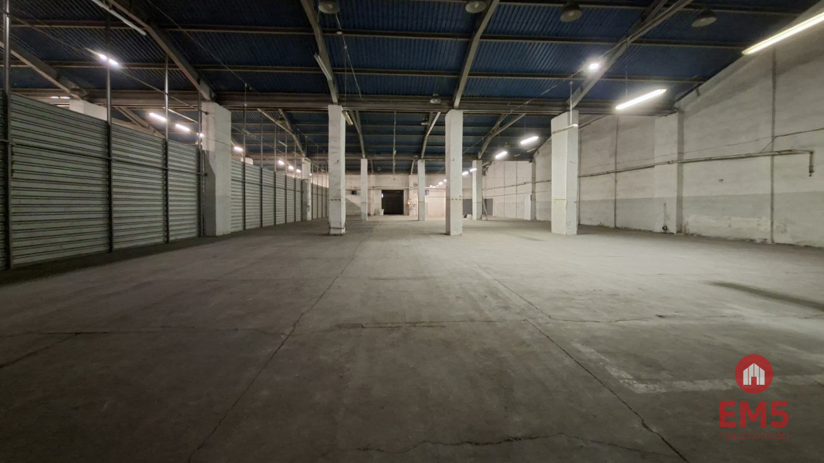 Hala-magazyn z rampą 1200 m2, zdjęcie 2