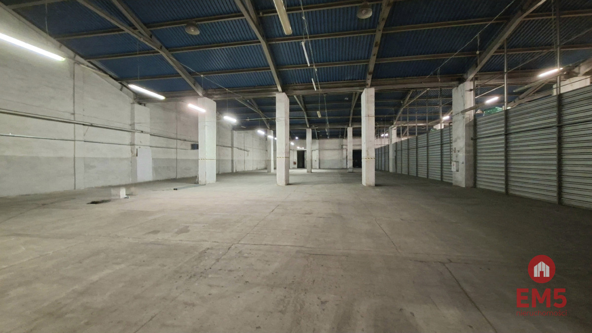 Hala-magazyn z rampą 1200 m2, zdjęcie 3