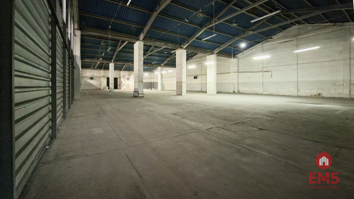 Hala-magazyn z rampą 1200 m2, zdjęcie 9