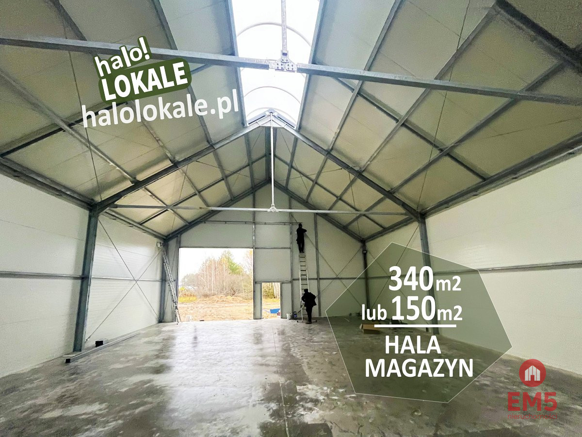 Hala pod miastem 150-350 m2, zdjęcie 1