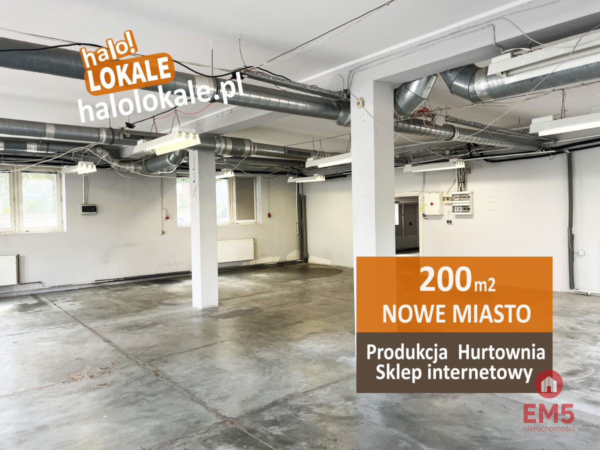 220m2 handel, produkcja, usługi, zdjęcie 2