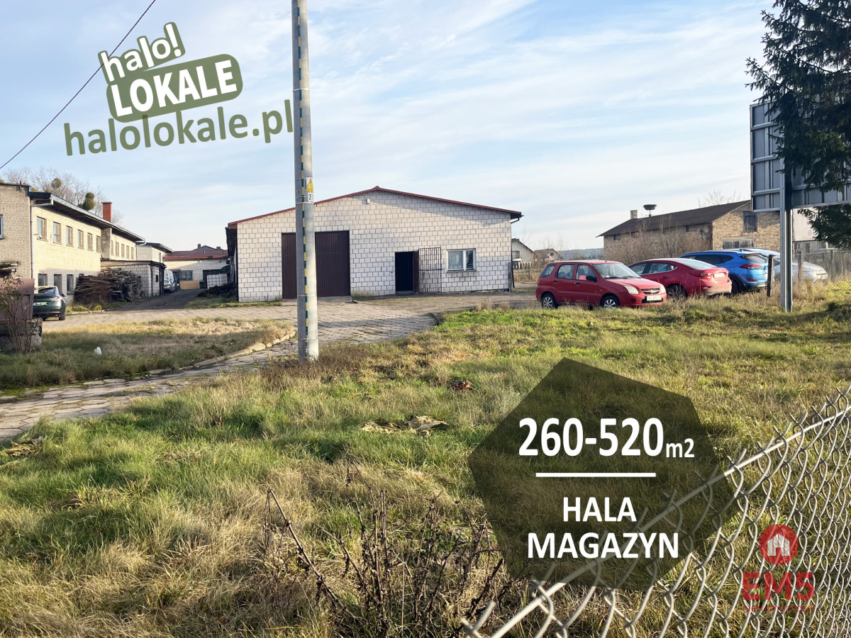Budynek do wynajęcia  260-520 m2., zdjęcie 1