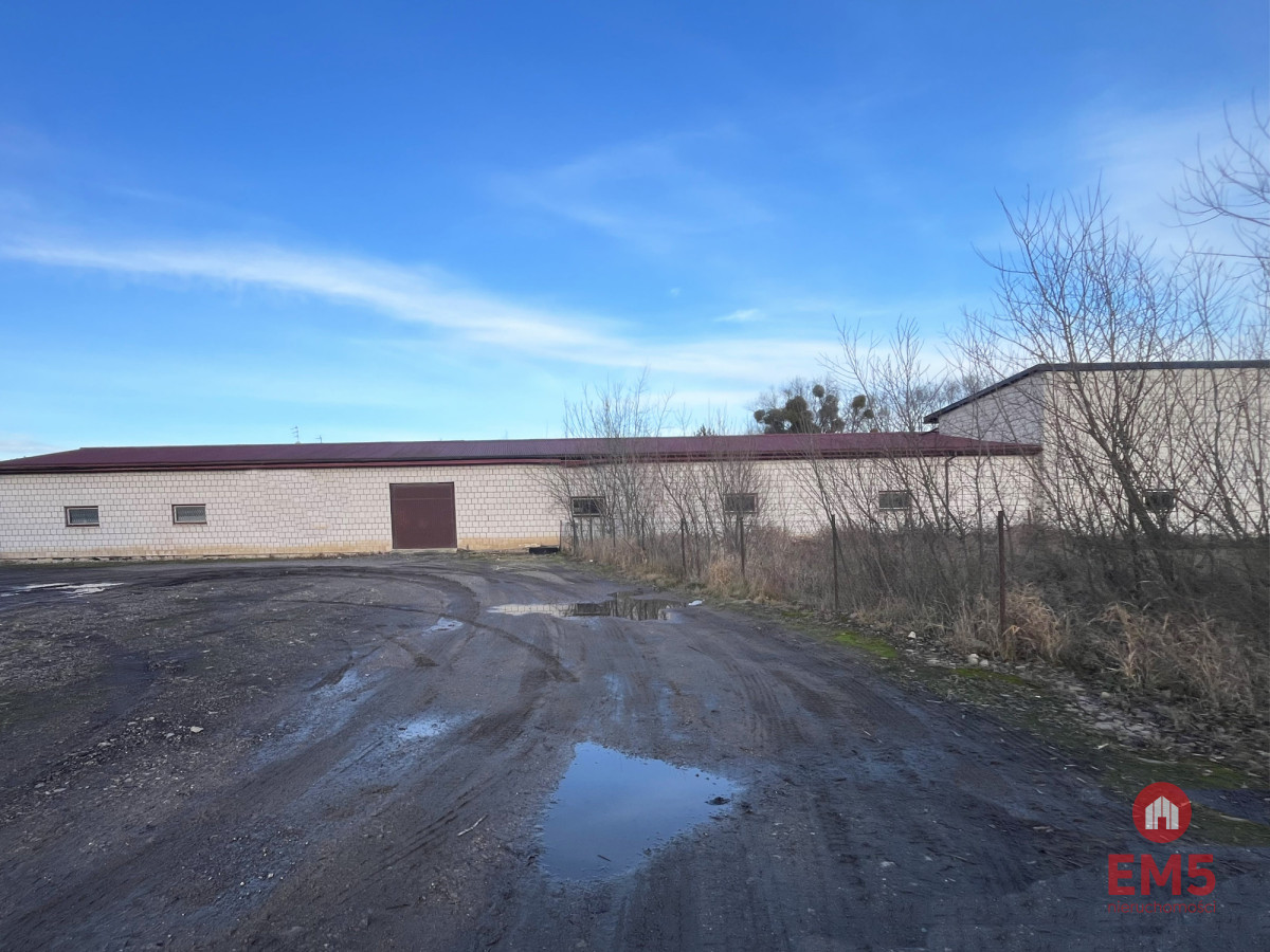 Budynek do wynajęcia  260-520 m2., zdjęcie 2