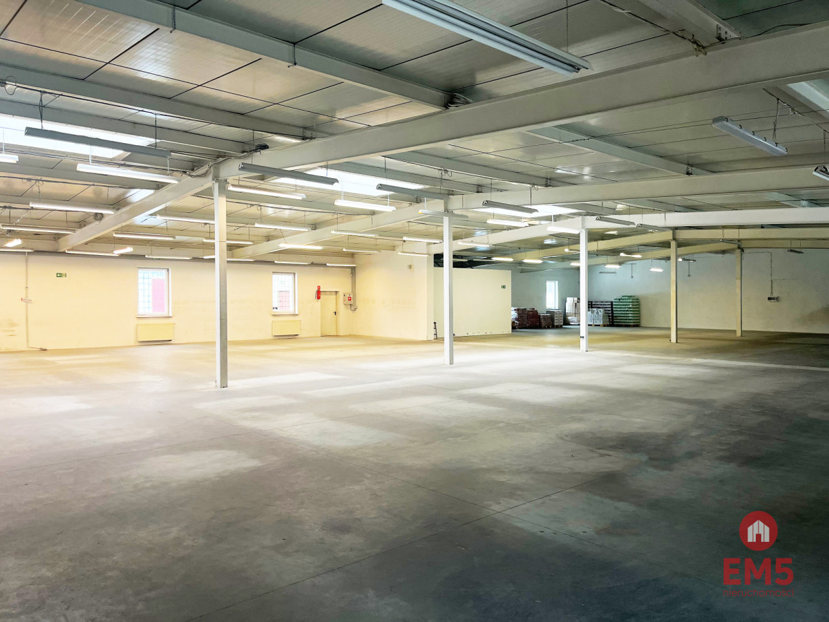 Pow. 1100 m2 przy Parku Handlowym, zdjęcie 5
