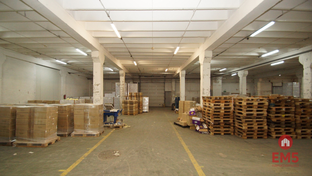 Magazyn 1000m2, zdjęcie 1