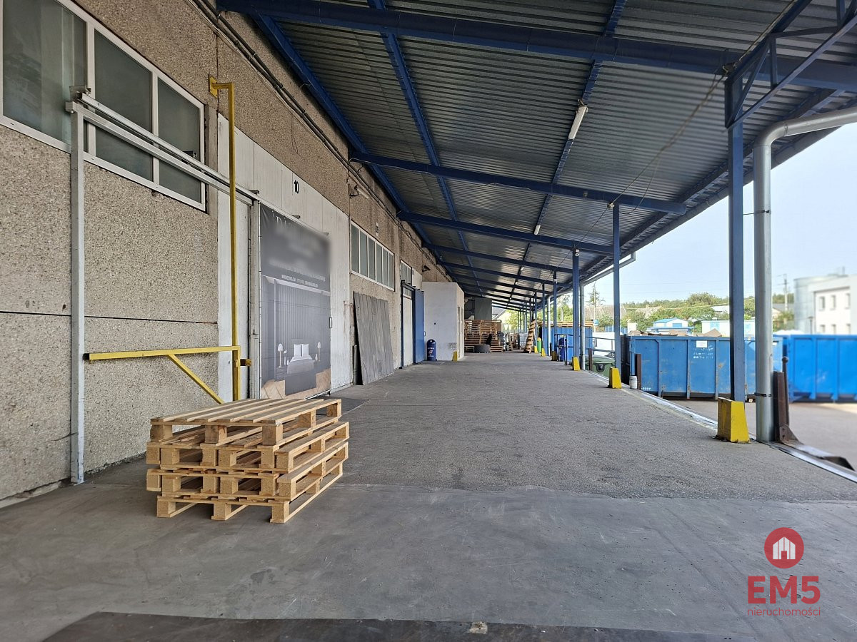 Hala – magazyn 1462 m2, zdjęcie 4