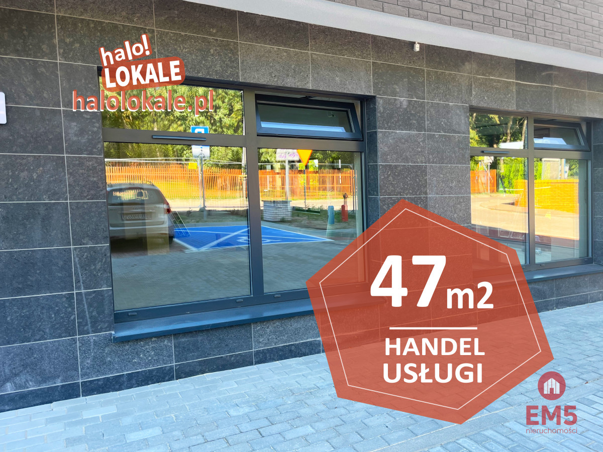 Nowe lokale do wynajęcia, zdjęcie 1