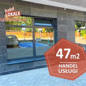 Nowe lokale do wynajęcia