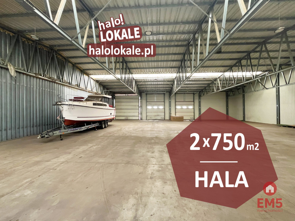 Hala, produkcja, magazyn, zdjęcie 1