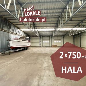 Hala, produkcja, magazyn