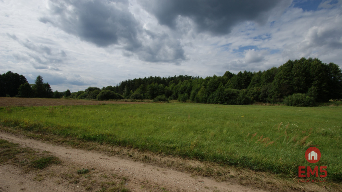 Działka w otulinie Puszczy Knyszyńskiej z WZ, zdjęcie 6