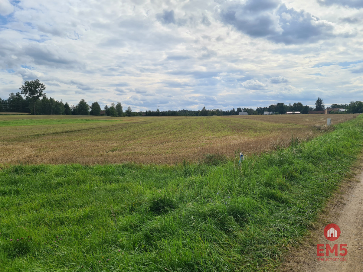 Działka w otulinie Puszczy Knyszyńskiej z WZ, zdjęcie 2