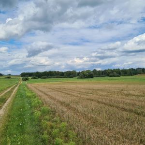 Działka w otulinie Puszczy Knyszyńskiej z WZ