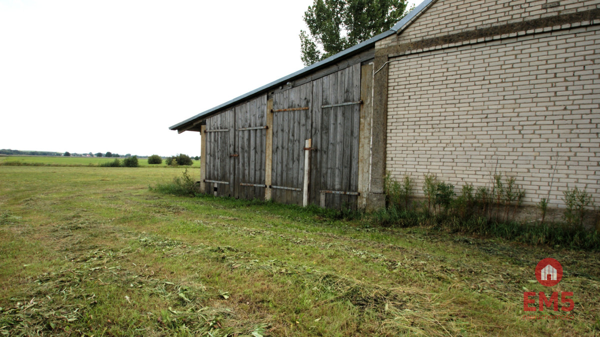 Budynek/hala na wynajem w pobliżu Jeżewa Starego, zdjęcie 6