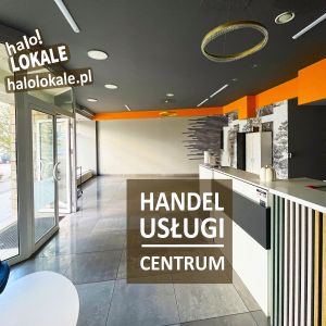 Handlowo-usługowy, ścisłe centrum, parter