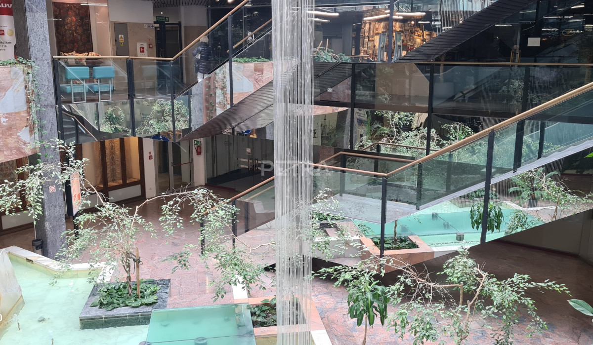 Komercyjny na wynajem