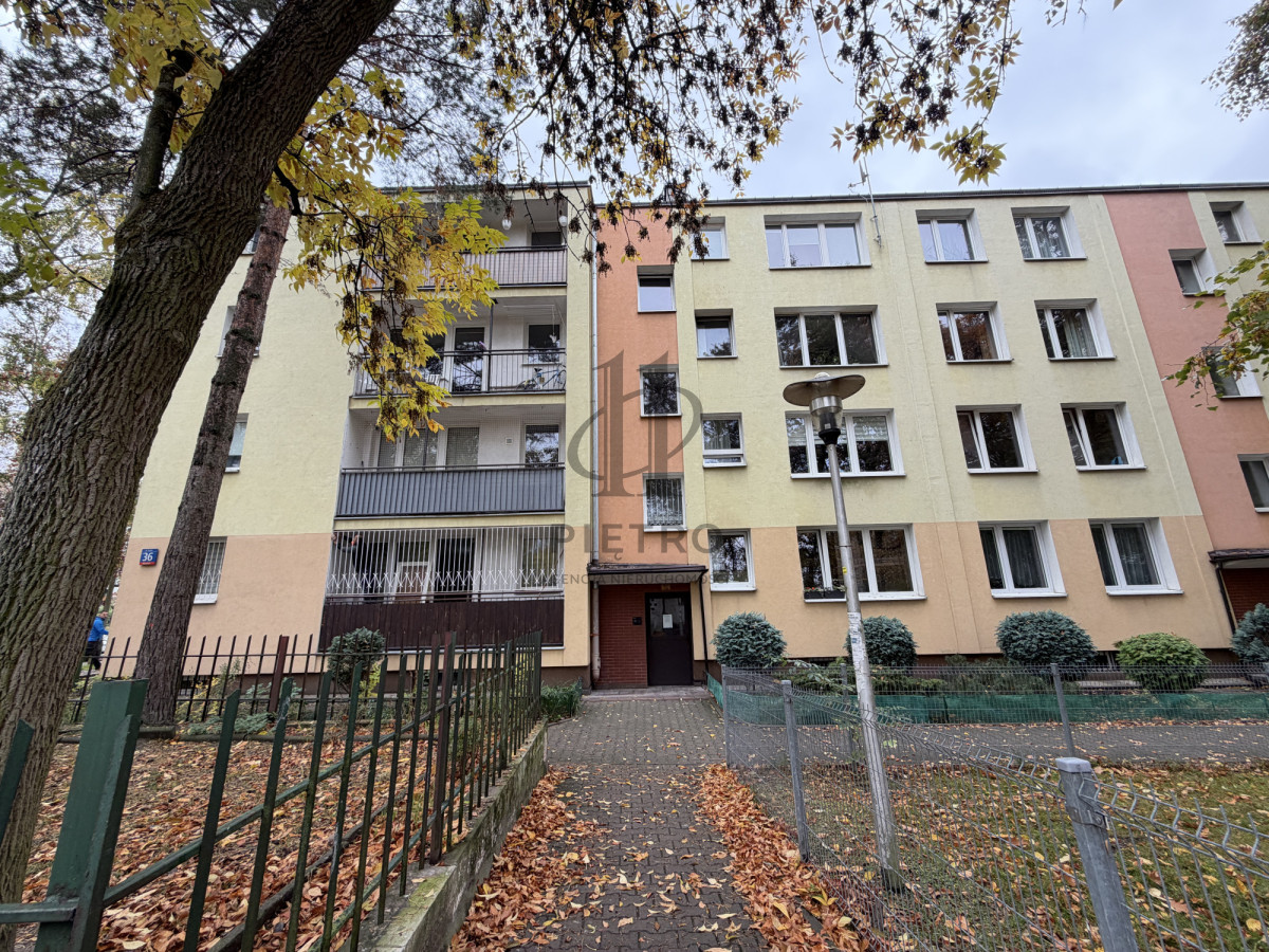 Mieszkanie na wynajem