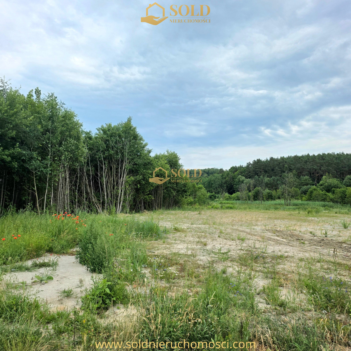 Property view 1