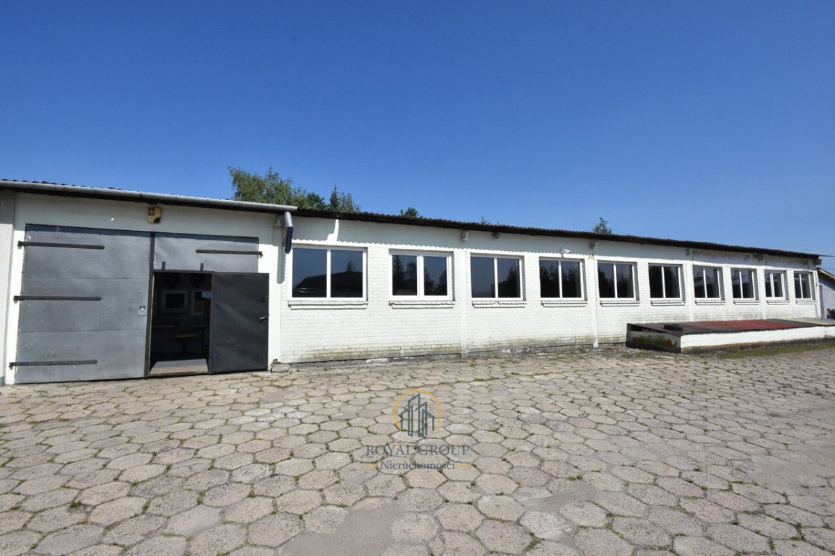 Komercyjny na wynajem