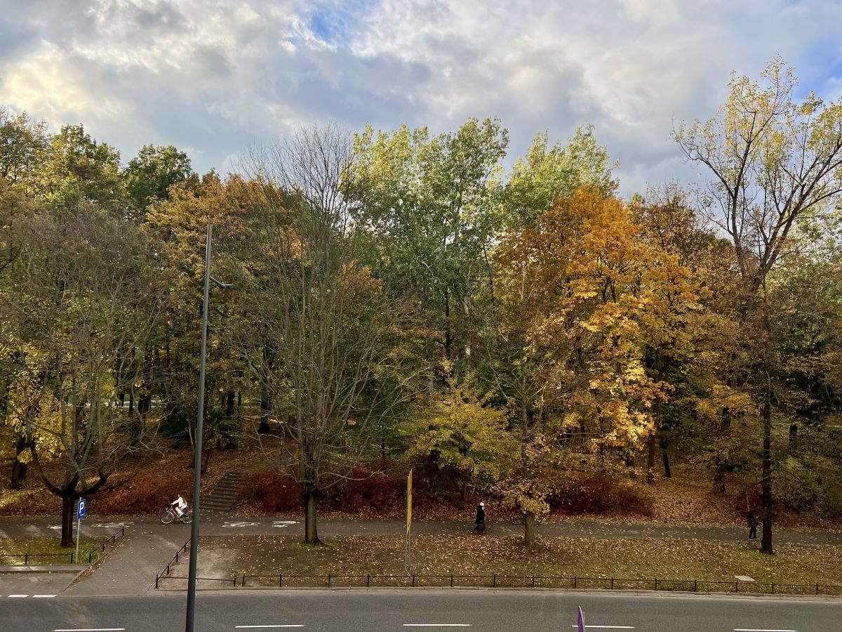 Mieszkanie na wynajem