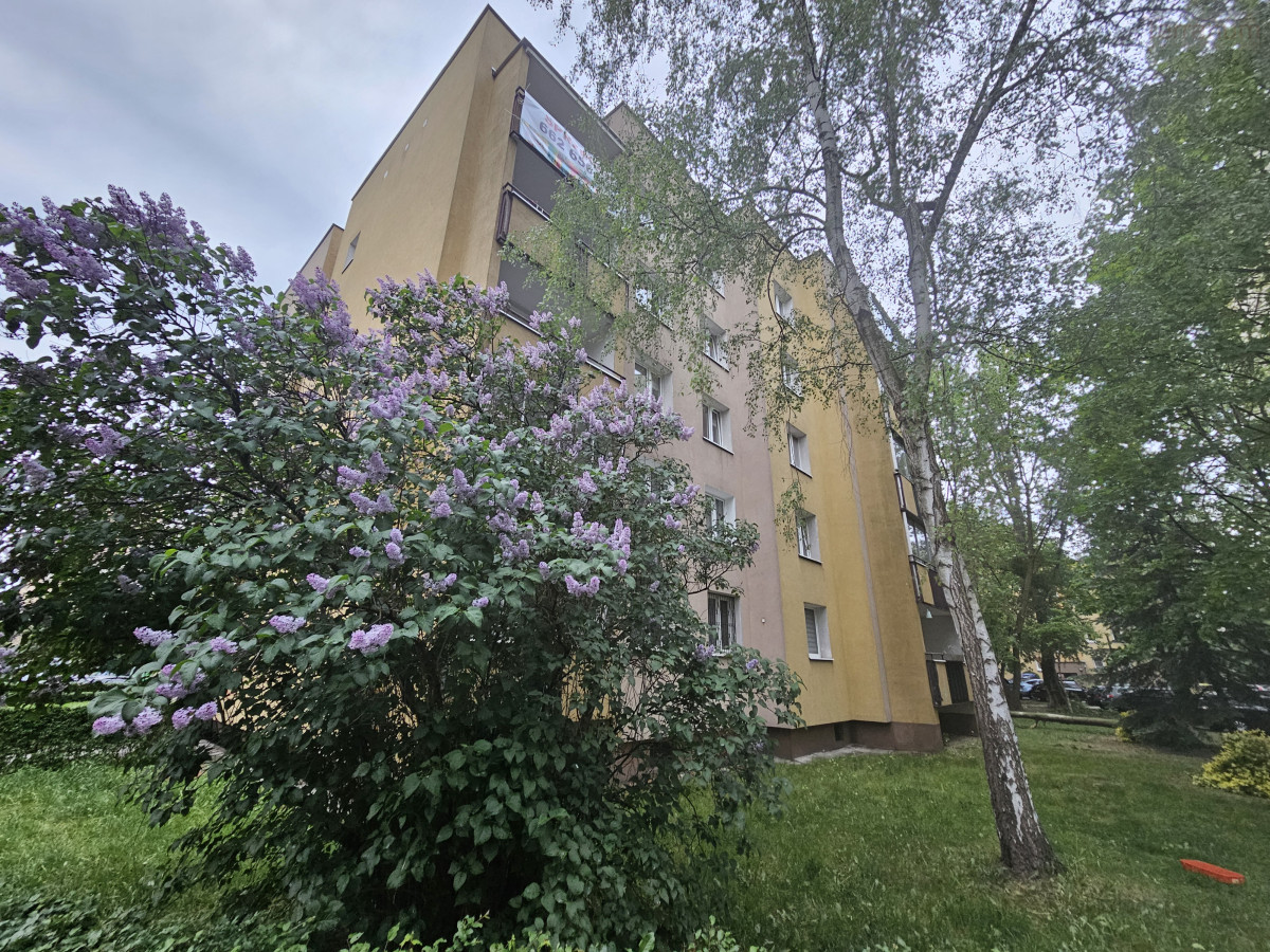 Mieszkanie na sprzedaż
