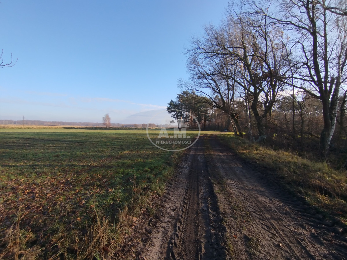 Działka na sprzedaż