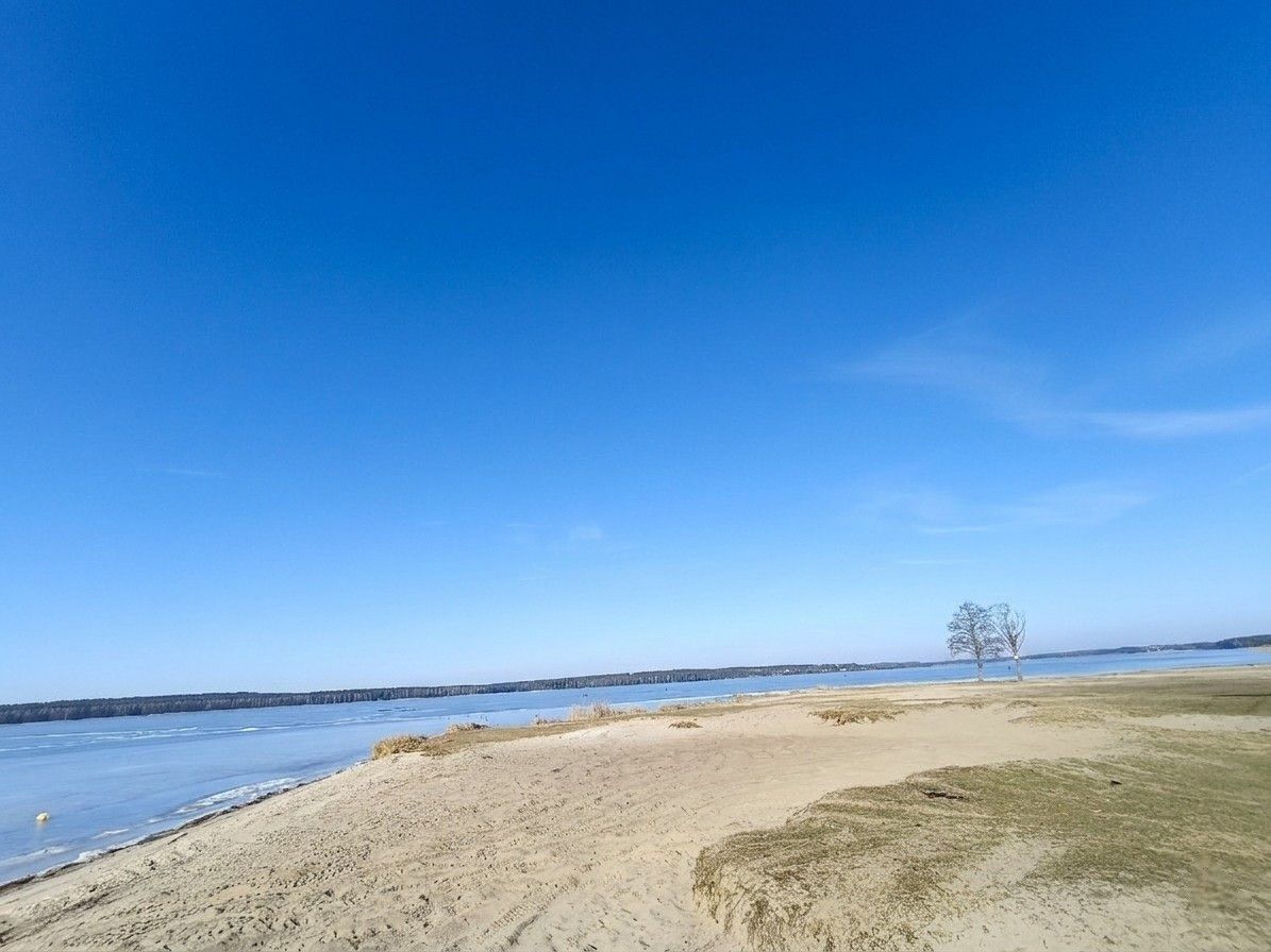 Komercyjny na sprzedaż