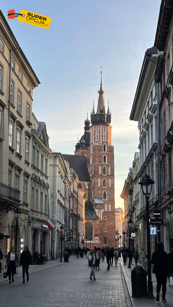 Komercyjny na wynajem