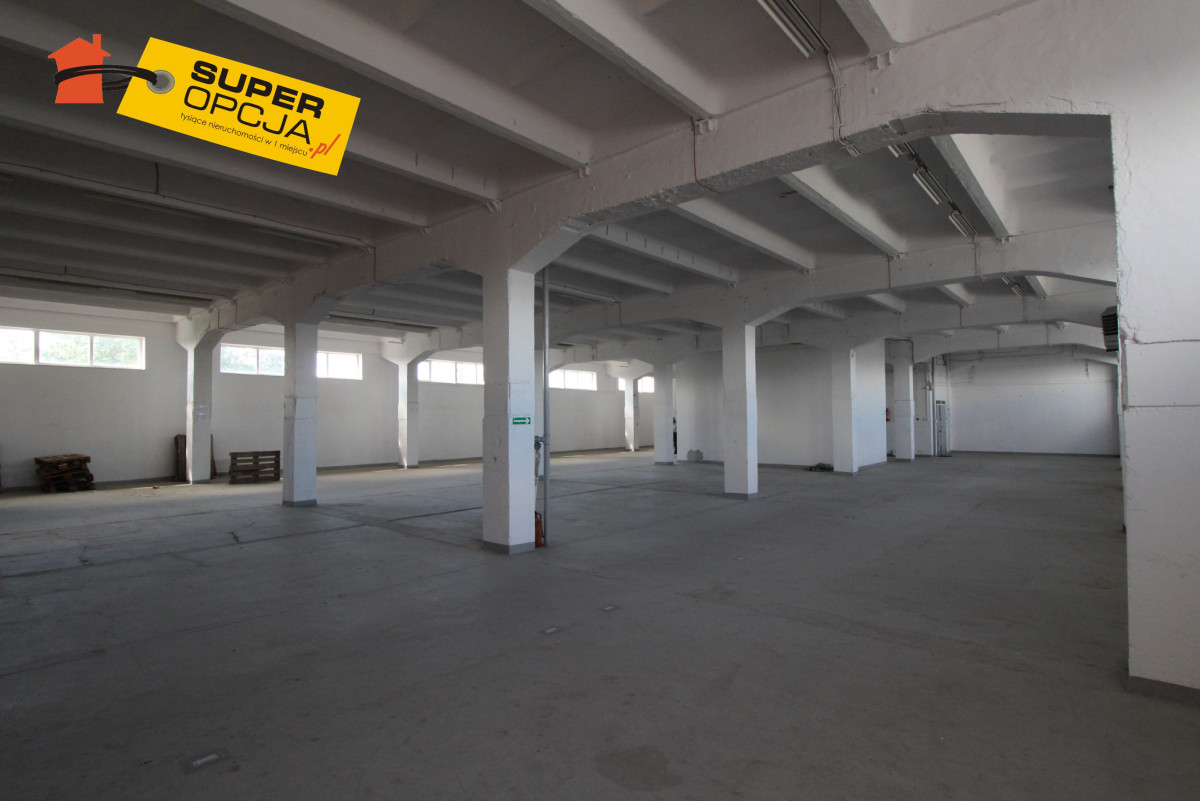 Komercyjny na wynajem