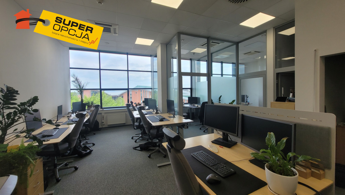 Komercyjny na wynajem