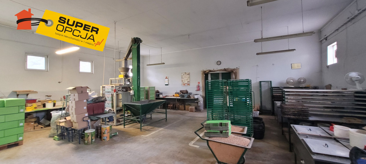 Komercyjny na wynajem