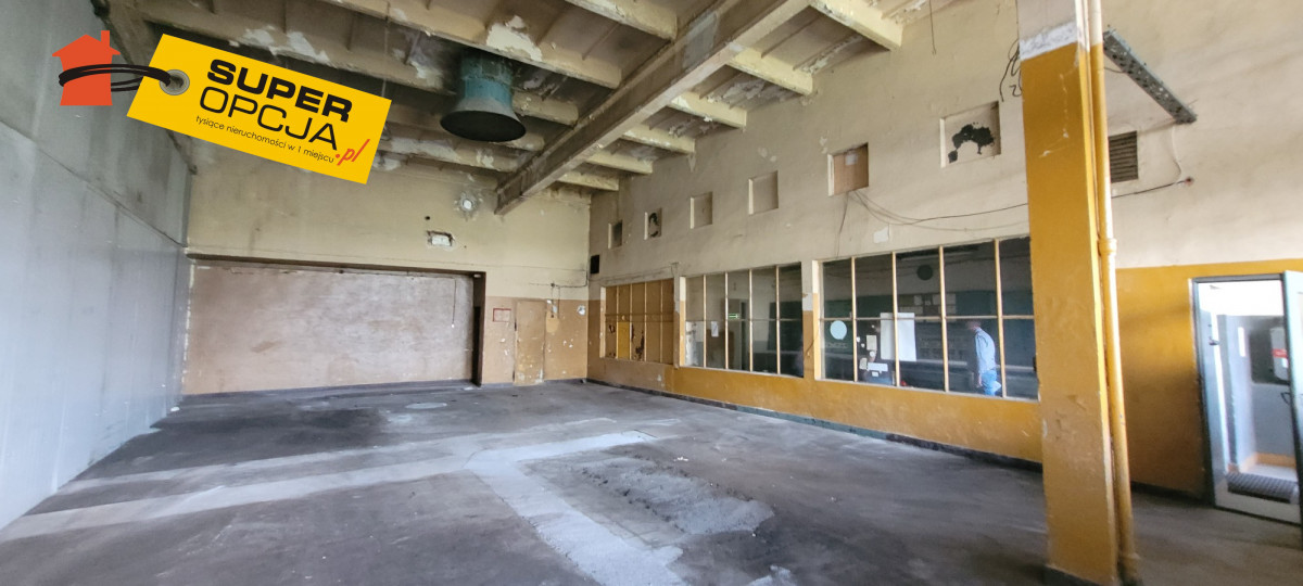 Komercyjny na wynajem