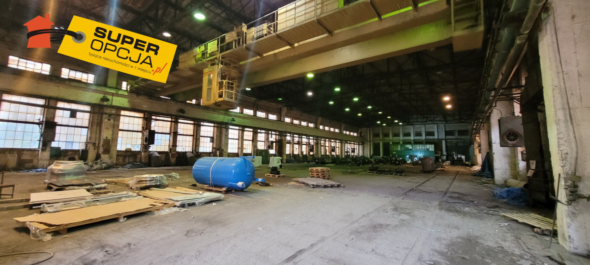 Komercyjny na wynajem