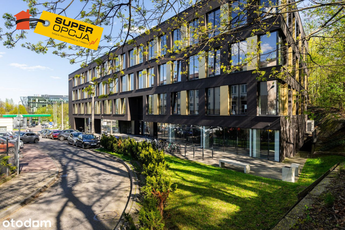 Komercyjny na wynajem