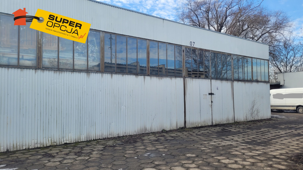 Komercyjny na wynajem