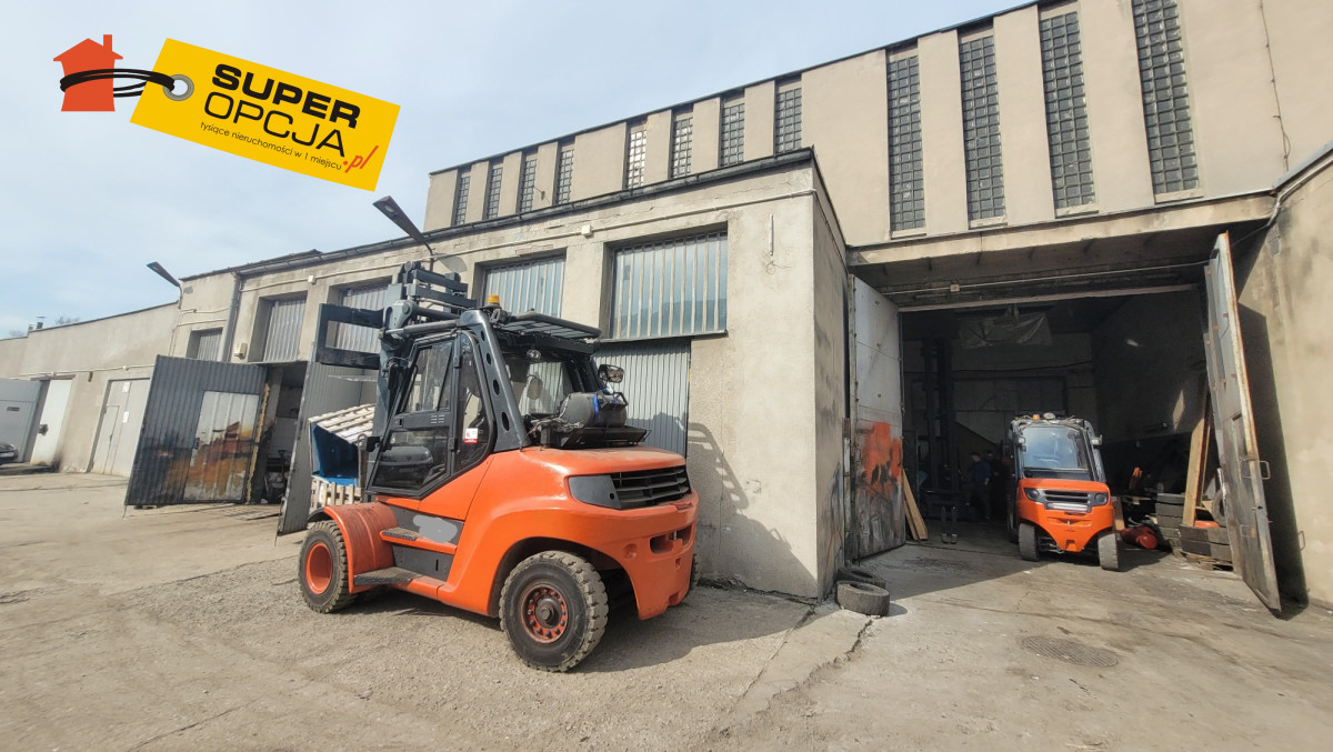 Komercyjny na wynajem