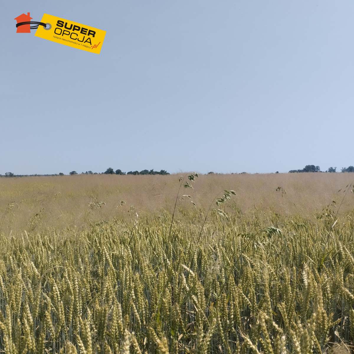 Działka na sprzedaż