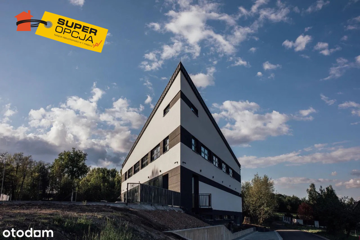 Komercyjny na wynajem