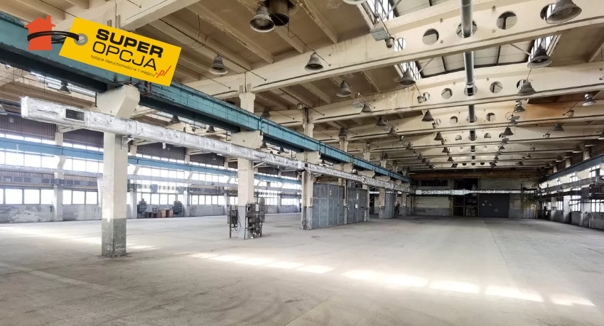 Komercyjny na wynajem