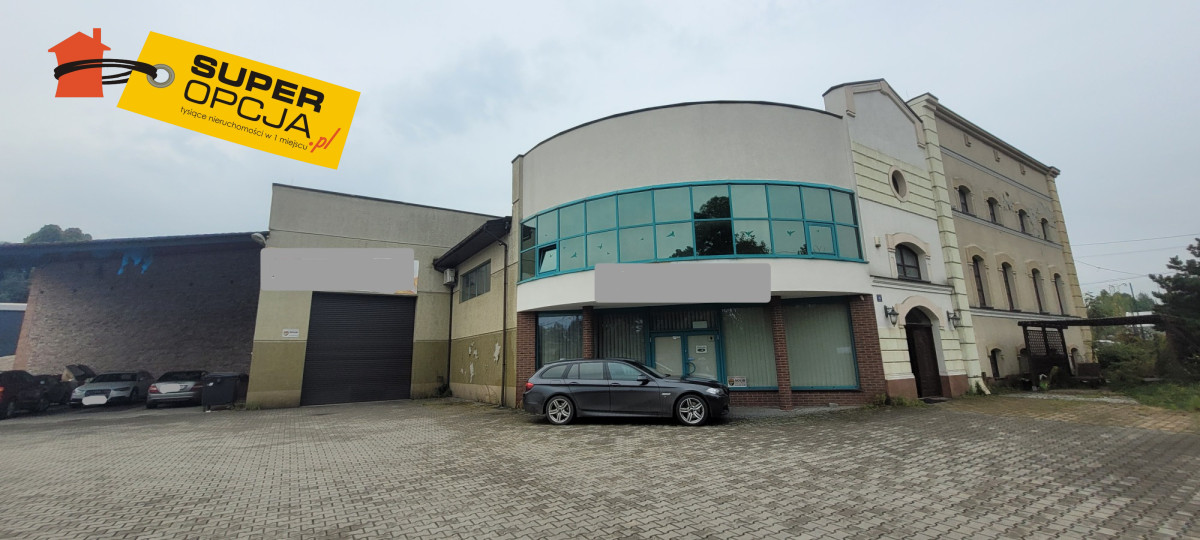 Komercyjny na sprzedaż