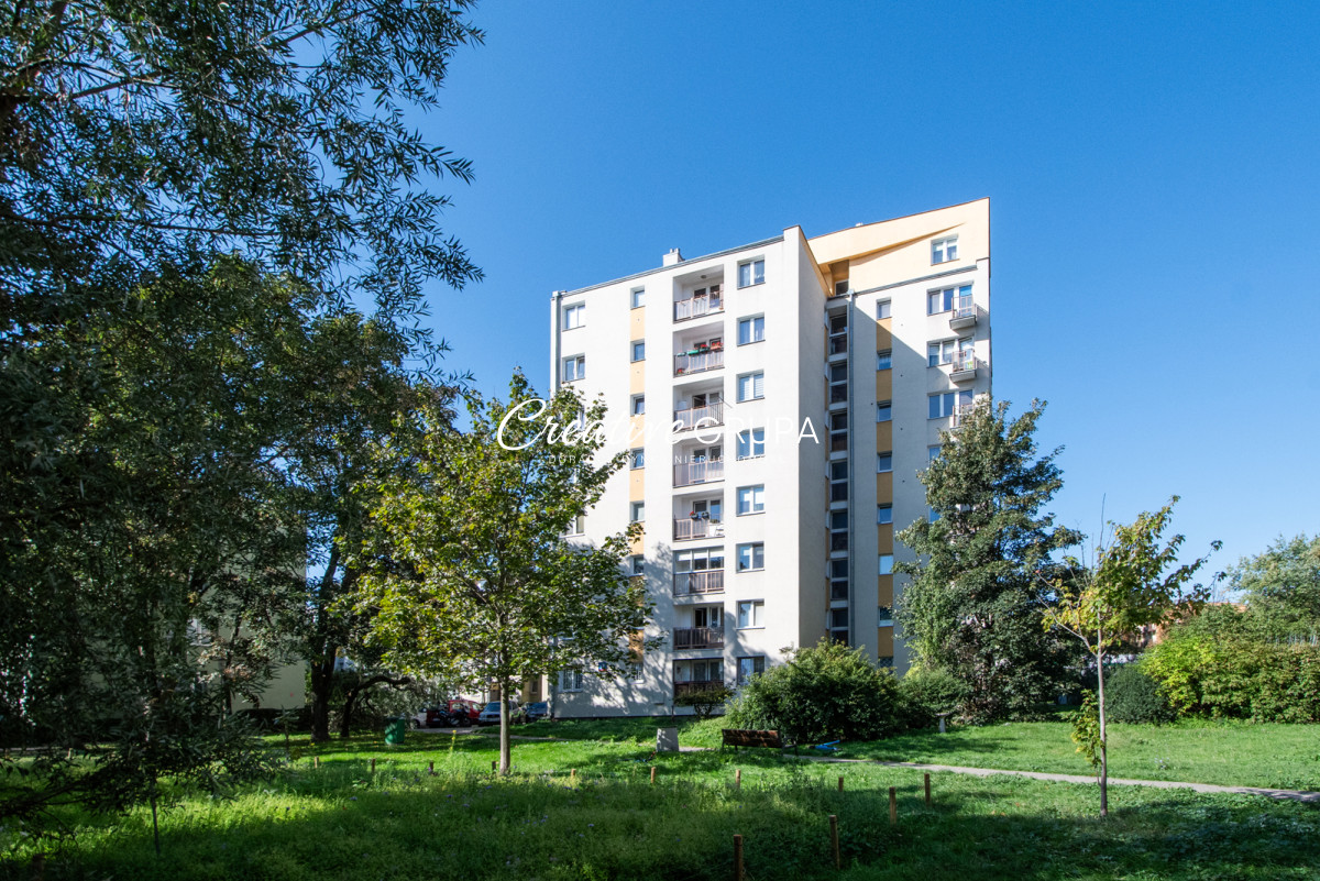Mieszkanie na wynajem