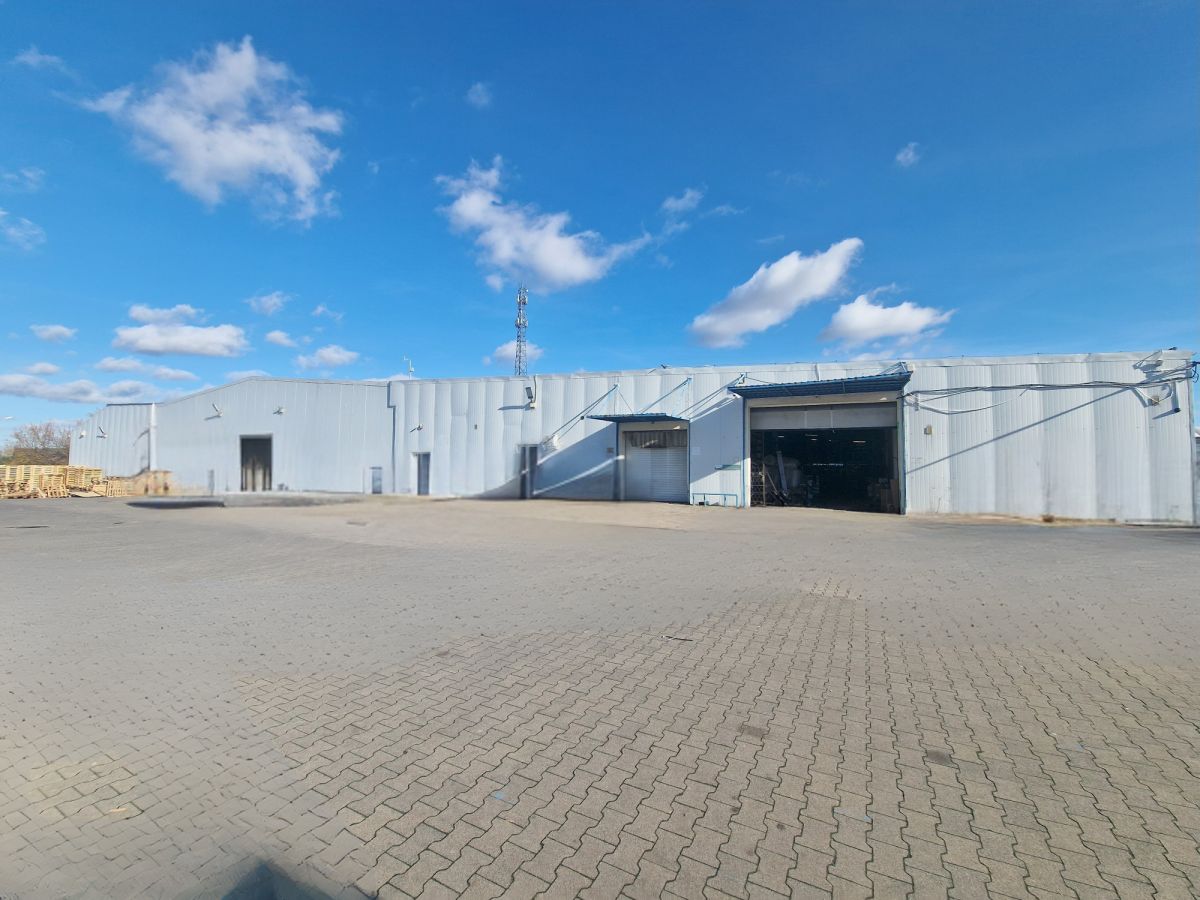 Komercyjny na wynajem