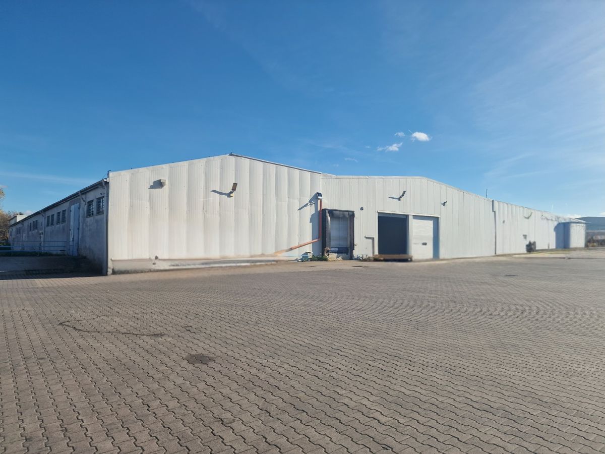 Komercyjny na wynajem